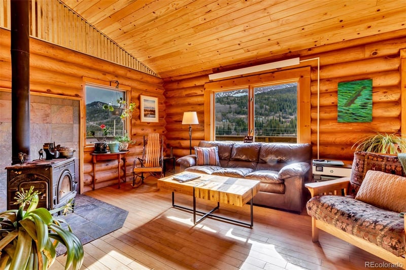 2246 County Road 4, Alma, CO 80420