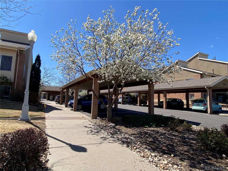 8685 Clay St #305, Westminster, CO 80031