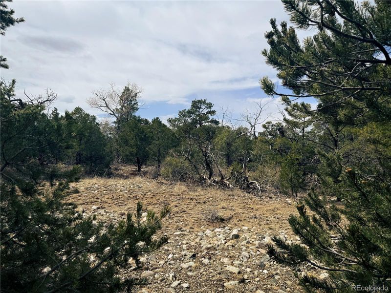 76 Mill Run Rd, Mosca, CO 81146