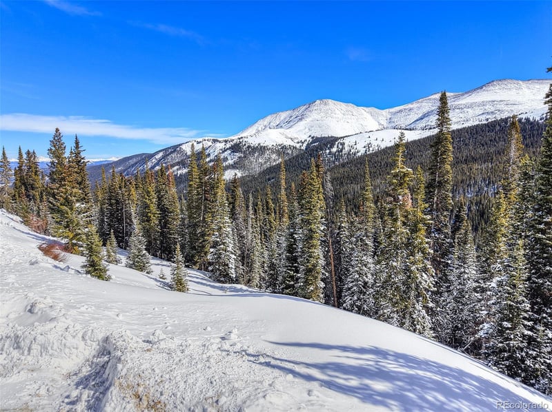 484 Carroll Ln Lot 14, Breckenridge, CO 80424