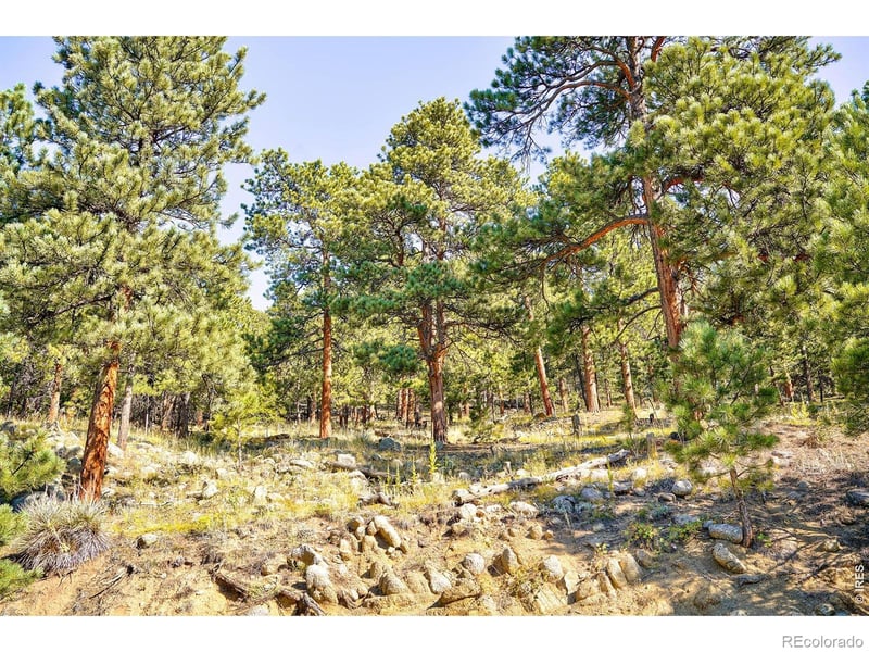 695 Cutter Ln, Boulder, CO 80302
