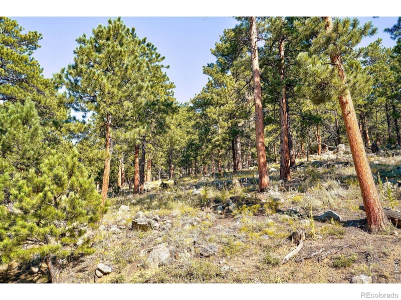 695 Cutter Ln, Boulder, CO 80302