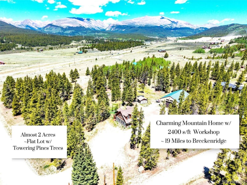 93 Placer Dr, Alma, CO 80420