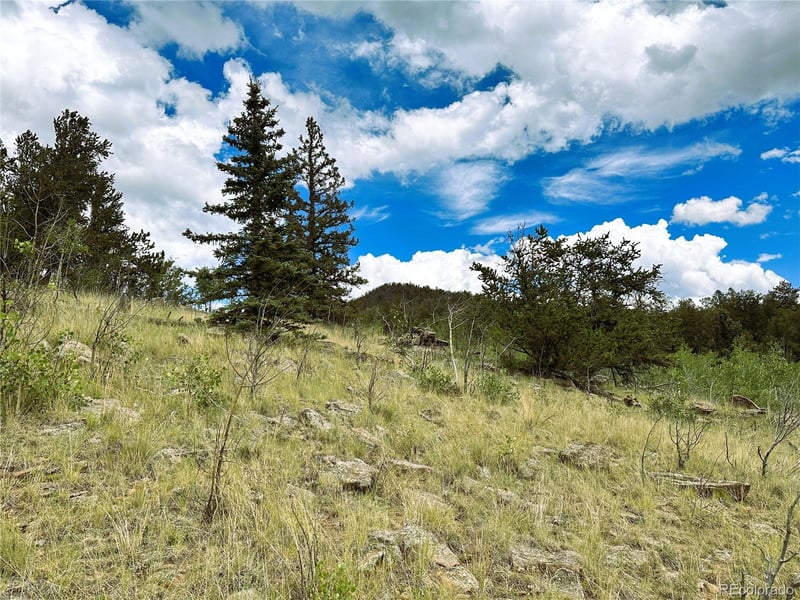 766 W Longbow Dr, Como, CO 80432