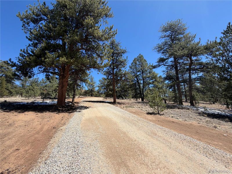 204 Opal Dr, Hartsel, CO 80449