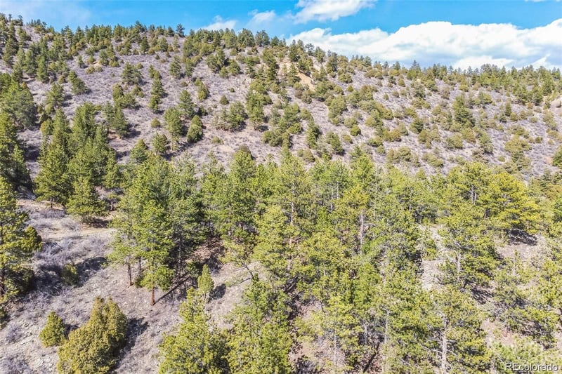 Wild Wagoner Tr, Dumont, CO 80452
