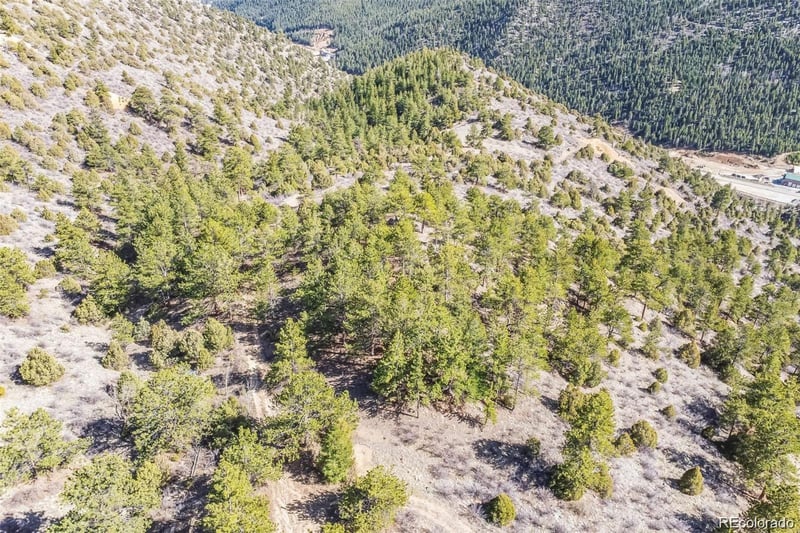 Wild Wagoner Tr, Dumont, CO 80452