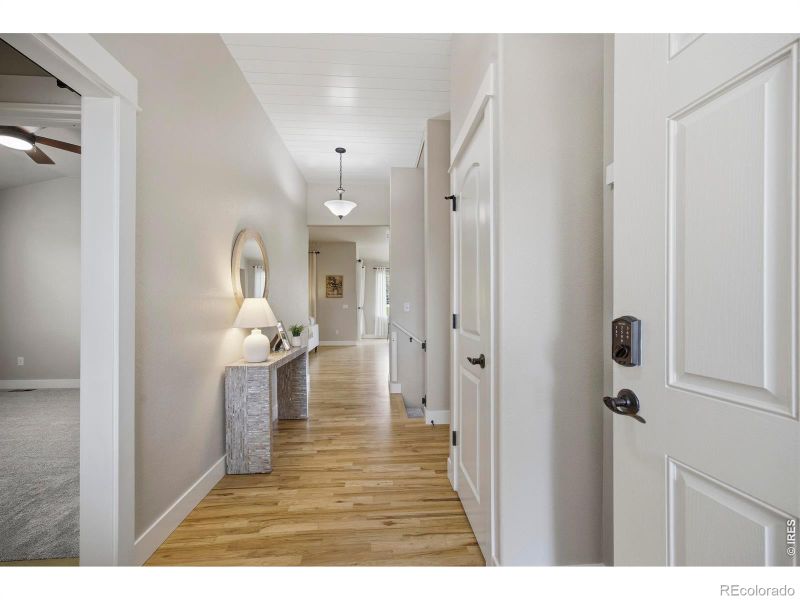 2047 Bayfront Dr, Windsor, CO 80550