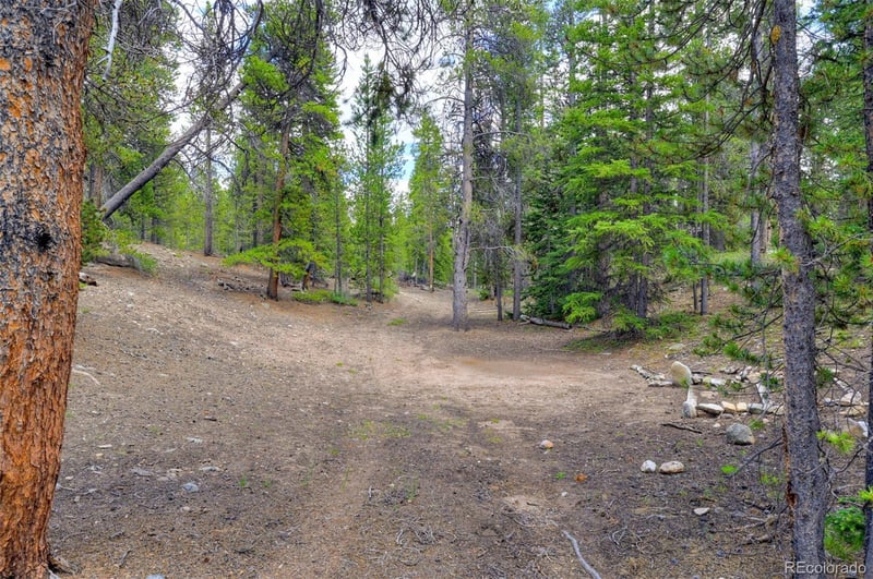 2221 Kootchie Kootchie Rd, Fairplay, CO 80440