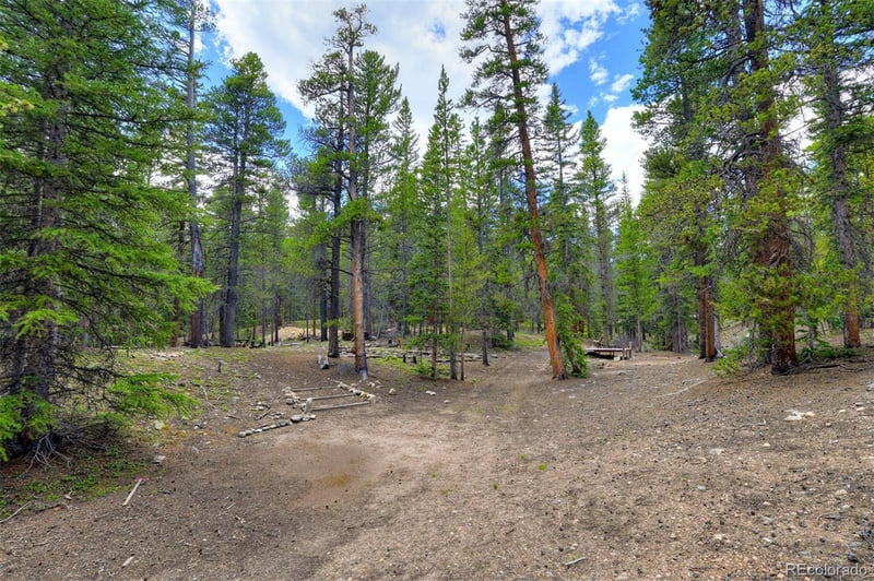 2221 Kootchie Kootchie Rd, Fairplay, CO 80440