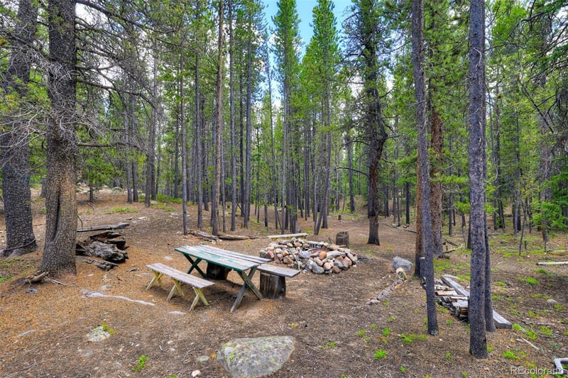 2221 Kootchie Kootchie Rd, Fairplay, CO 80440