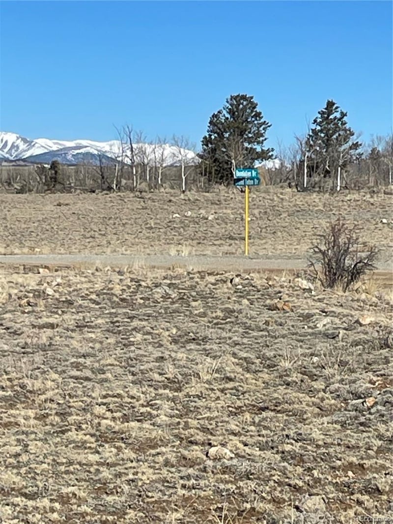 262 Grand Teton Dr, Hartsel, CO 80449