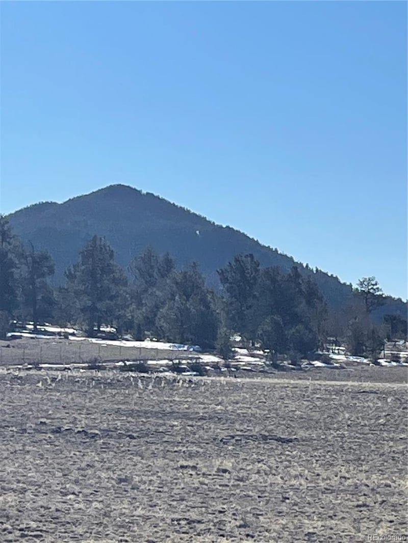262 Grand Teton Dr, Hartsel, CO 80449