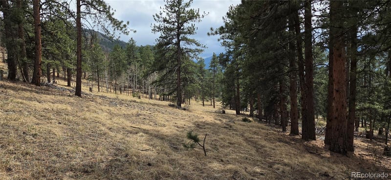 62430 Us Highway 285, Bailey, CO 80421