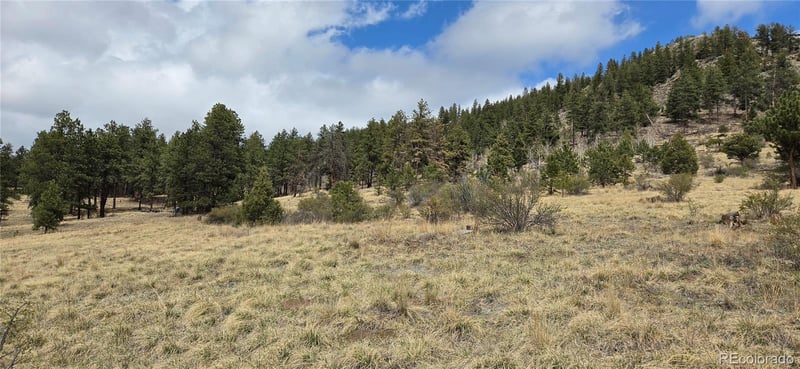62430 Us Highway 285, Bailey, CO 80421