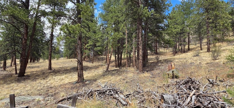 62430 Us Highway 285, Bailey, CO 80421