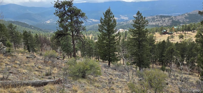 62430 Us Highway 285, Bailey, CO 80421