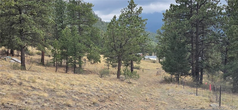 62430 Us Highway 285, Bailey, CO 80421