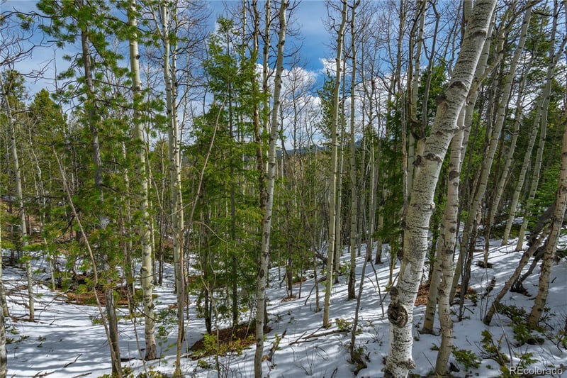 224 Deadwood Rd, Cripple Creek, CO 80813
