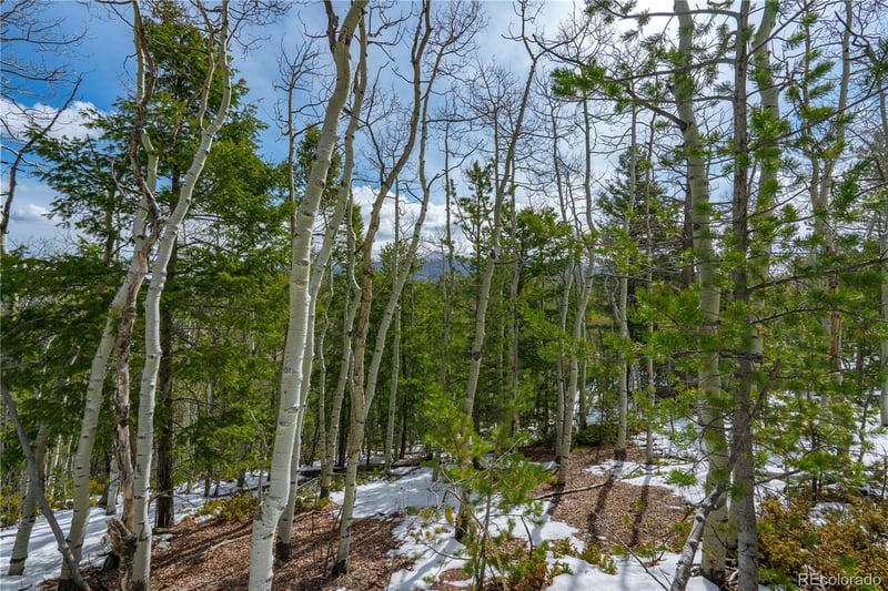 224 Deadwood Rd, Cripple Creek, CO 80813