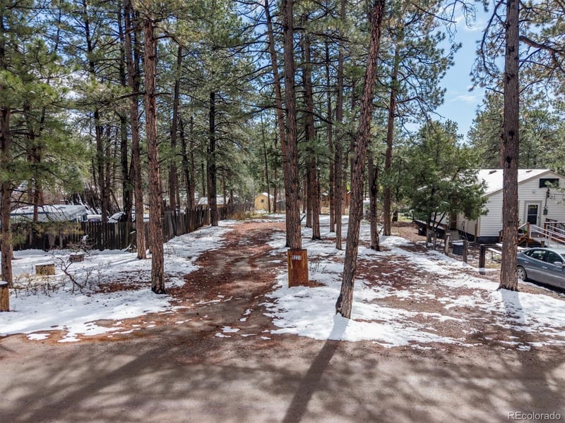 9231 Curtis Rd, Larkspur, CO 80118