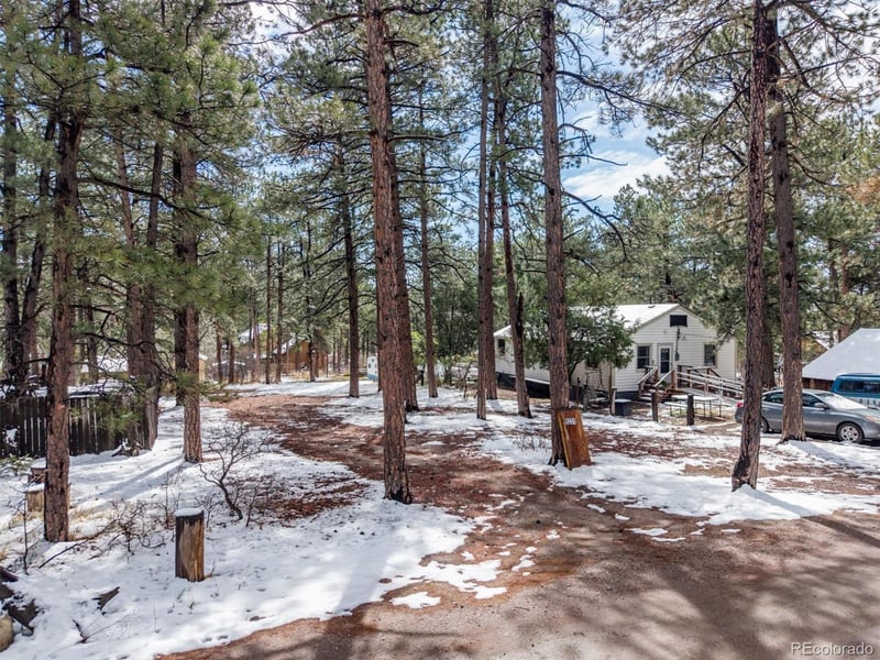 9231 Curtis Rd, Larkspur, CO 80118