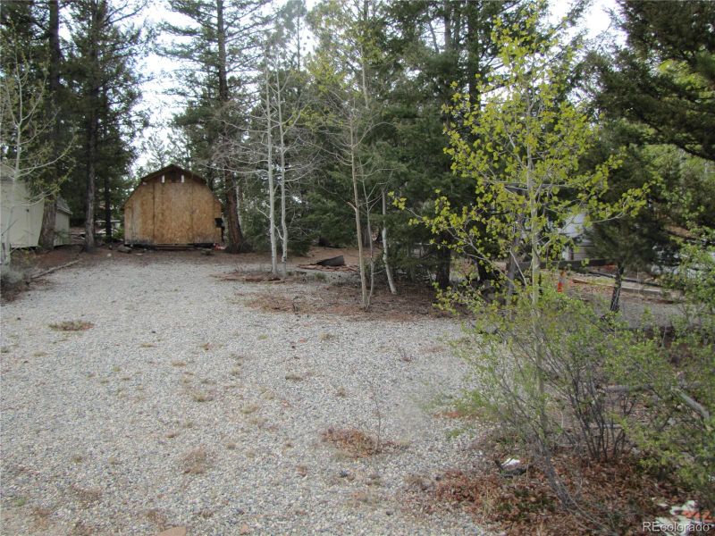 60 Rail Way, Hartsel, CO 80449