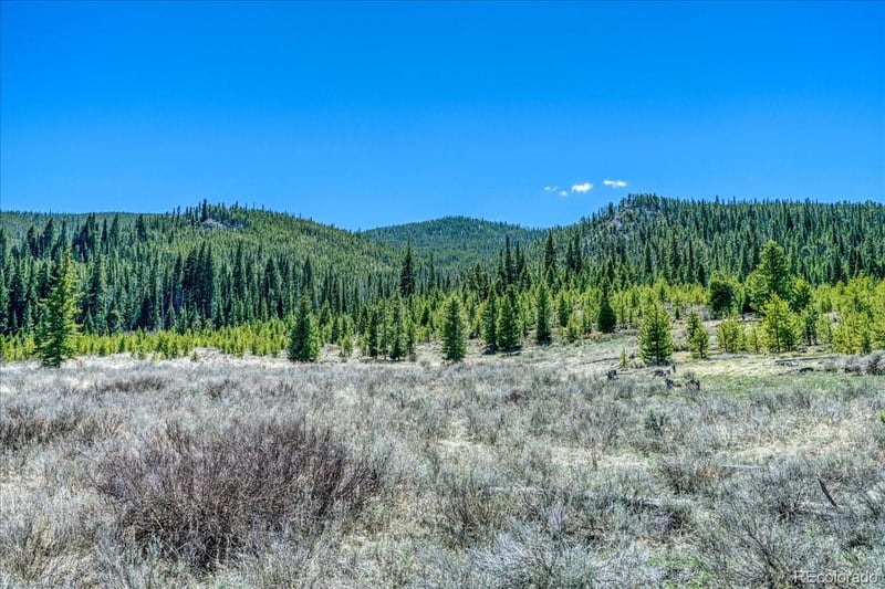 370 Meadow Wood Cir, Dillon, CO 80435