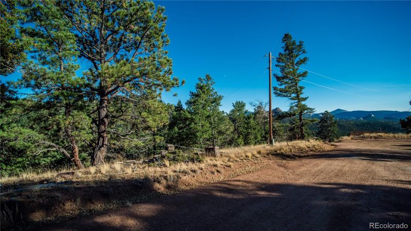 74 Quandry Cir, Florissant, CO 80816