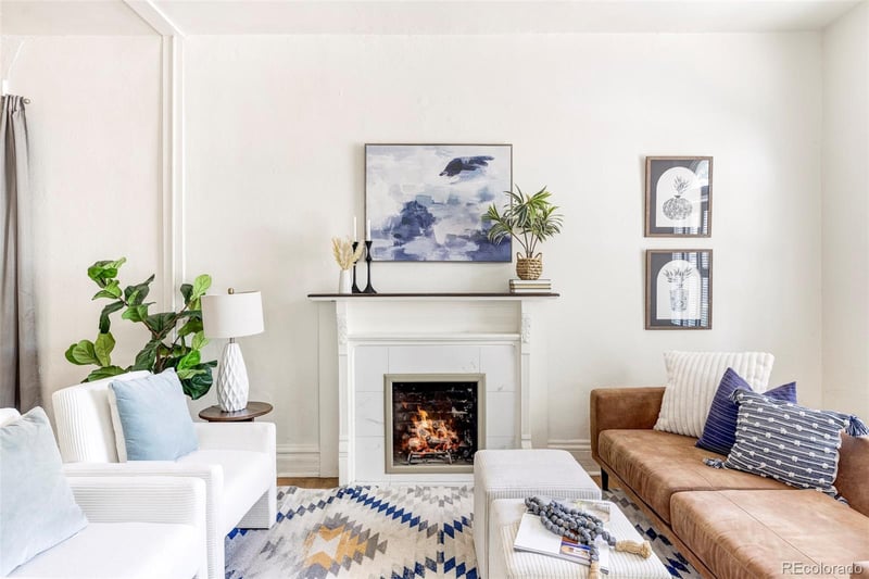 246 S Emerson St, Denver, CO 80209