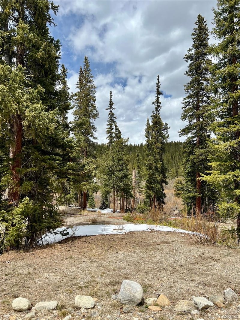 897 Gold Pan Ln Lot 0762, Fairplay, CO 80440