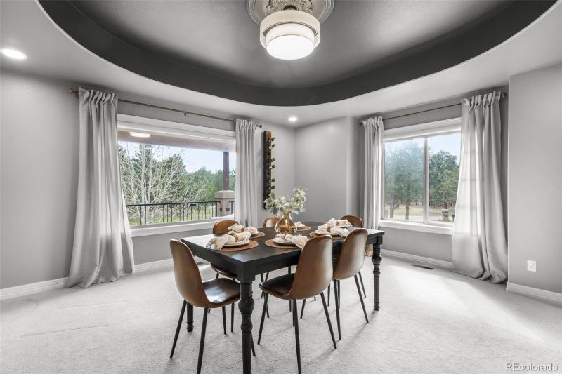 450 E Stirrup Trl, Monument, CO 80132
