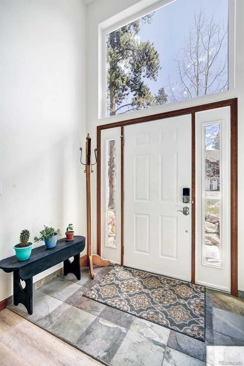 148 Imogene Cir, Leadville, CO 80461