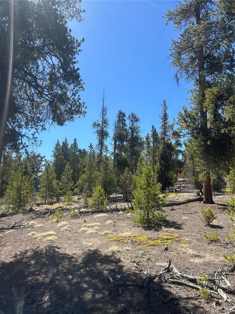 266 Ponderosa Dr Lot 14, Leadville, CO 80461
