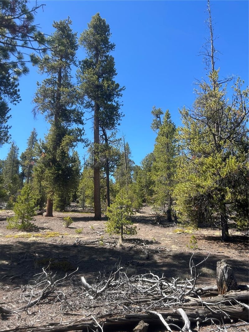 266 Ponderosa Dr Lot 14, Leadville, CO 80461