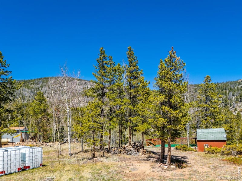 20 Inca Ct, Red Feather Lakes, CO 80545