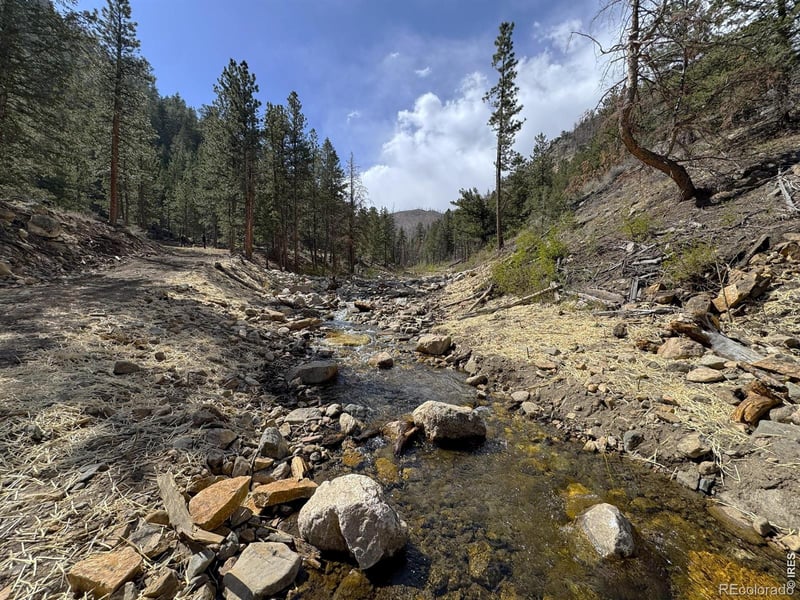 122 Black Hollow Rd, Bellvue, CO 80512