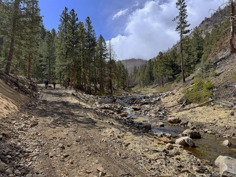 122 Black Hollow Rd, Bellvue, CO 80512