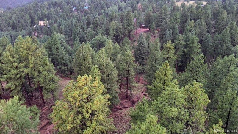 131 Lost Lake Cir, Divide, CO 80814
