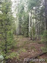 Lot 4-6 8th St, Jasper, CO 81132