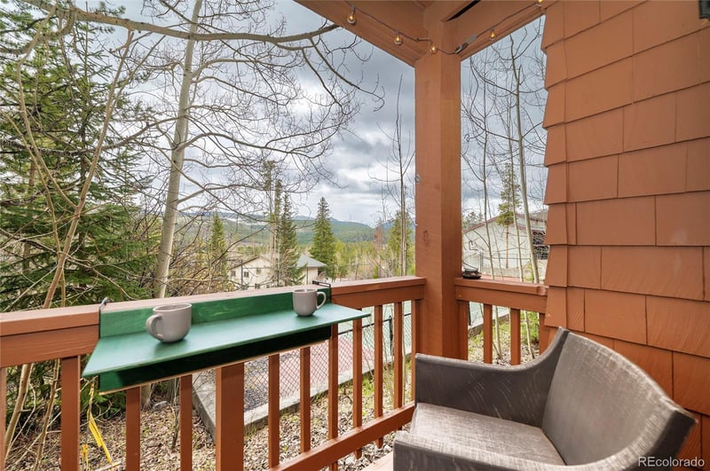145 Forest Trl #5, Winter Park, CO 80482