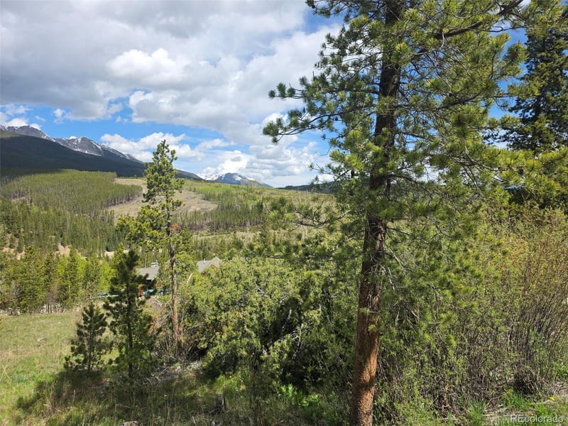 90 Shadows Dr, Breckenridge, CO 80424