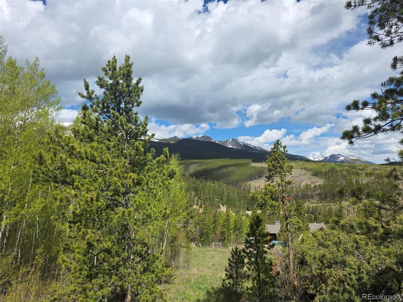 90 Shadows Dr, Breckenridge, CO 80424