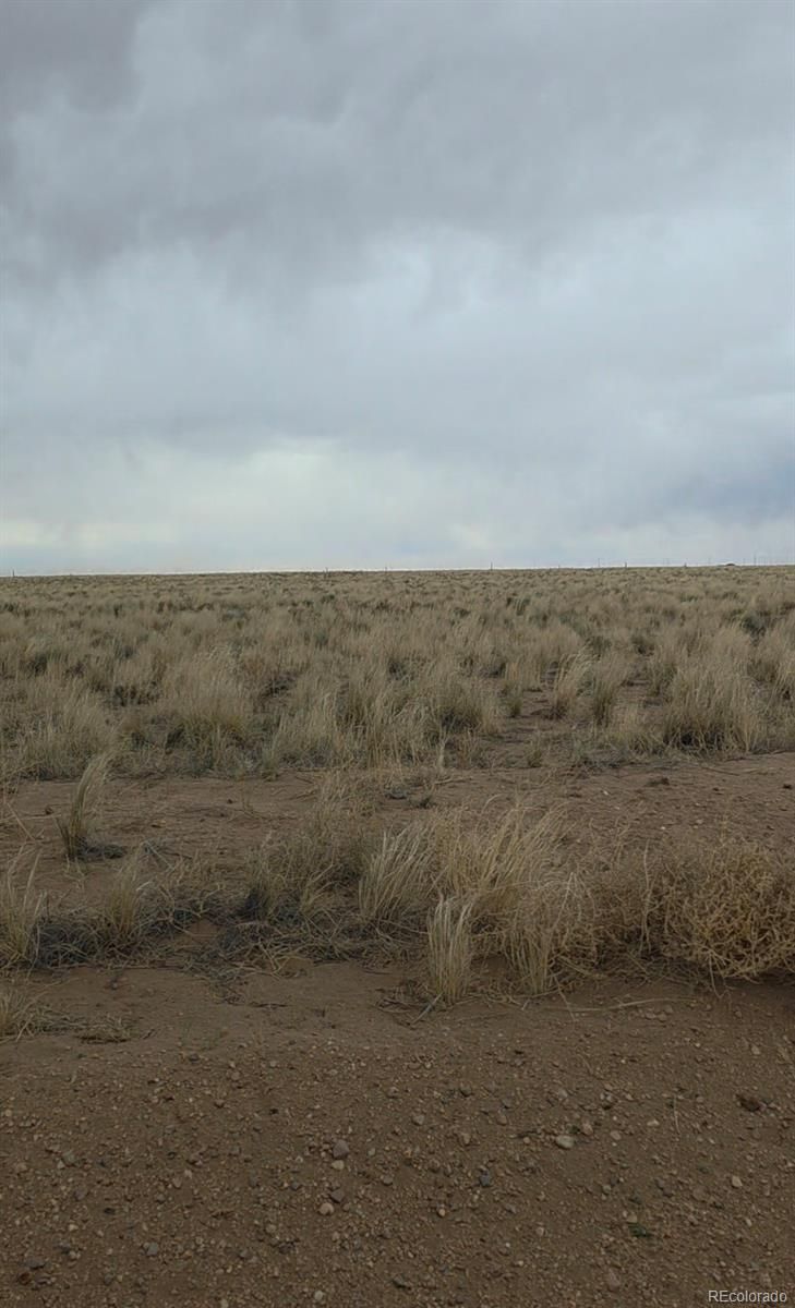 Lot 1 Brown Rd, Blanca, CO 81123