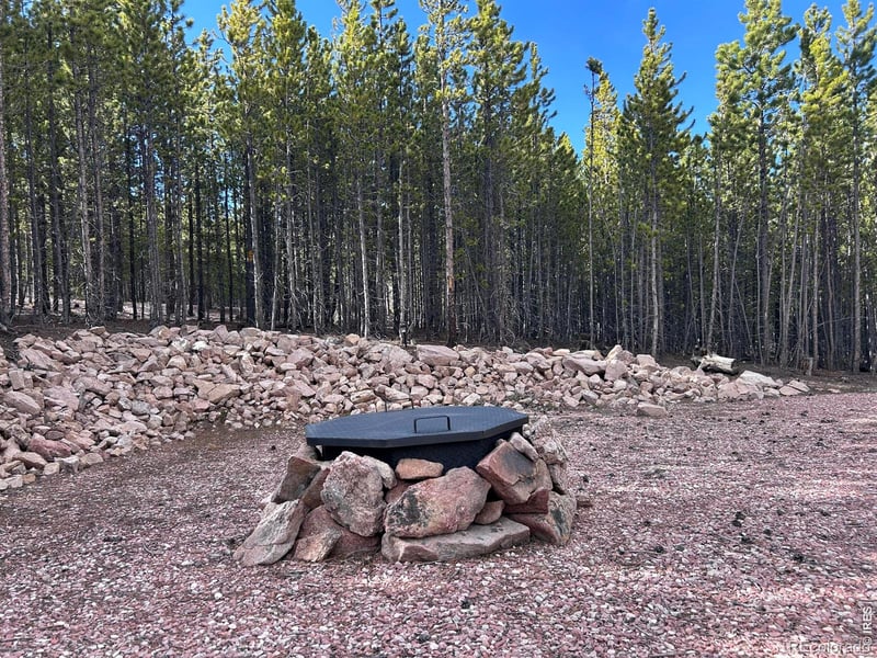 2596 Ottawa Way, Red Feather Lakes, CO 80545
