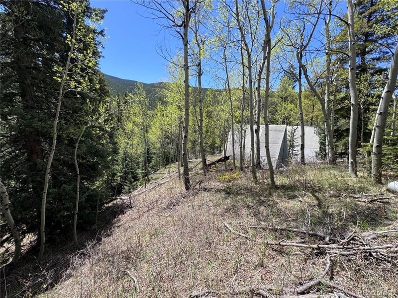 190 Blue Bell Ln, Idaho Springs, CO 80452