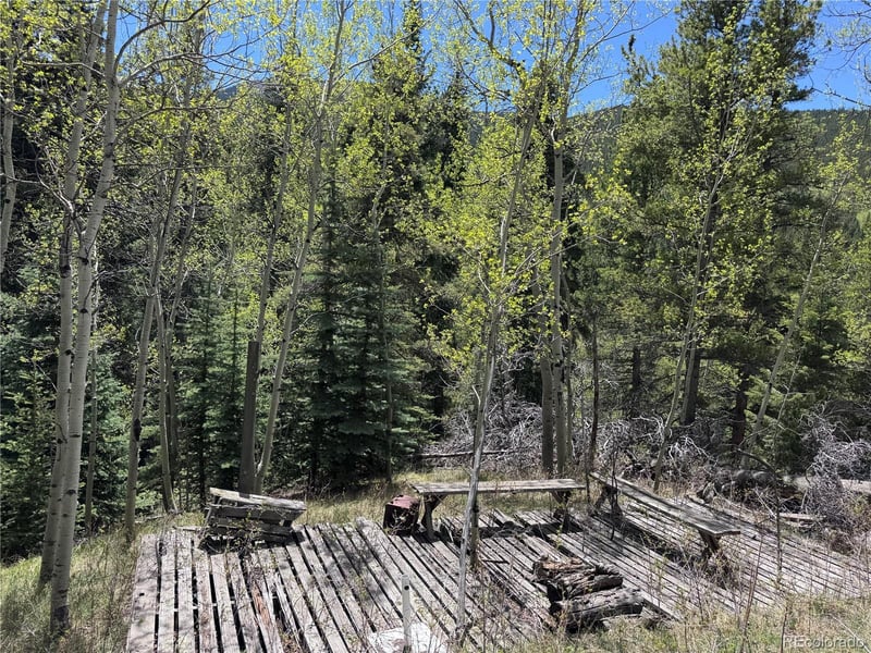 190 Blue Bell Ln, Idaho Springs, CO 80452