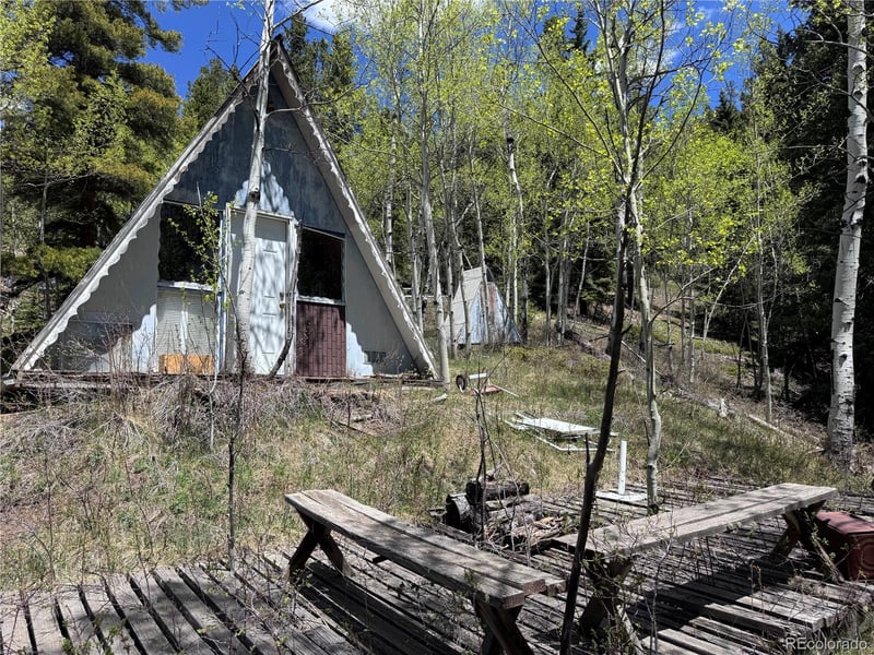 190 Blue Bell Ln, Idaho Springs, CO 80452