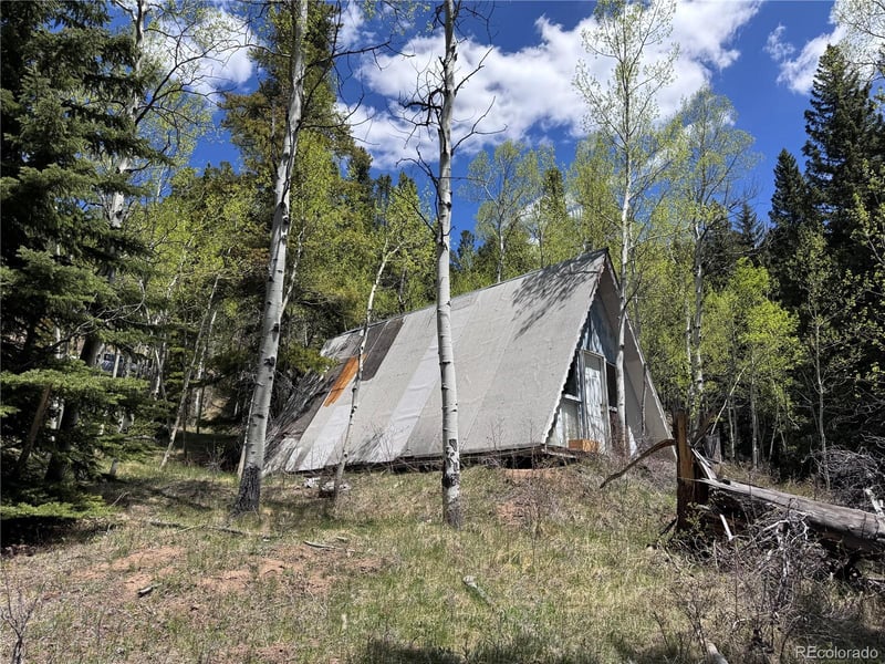 190 Blue Bell Ln, Idaho Springs, CO 80452