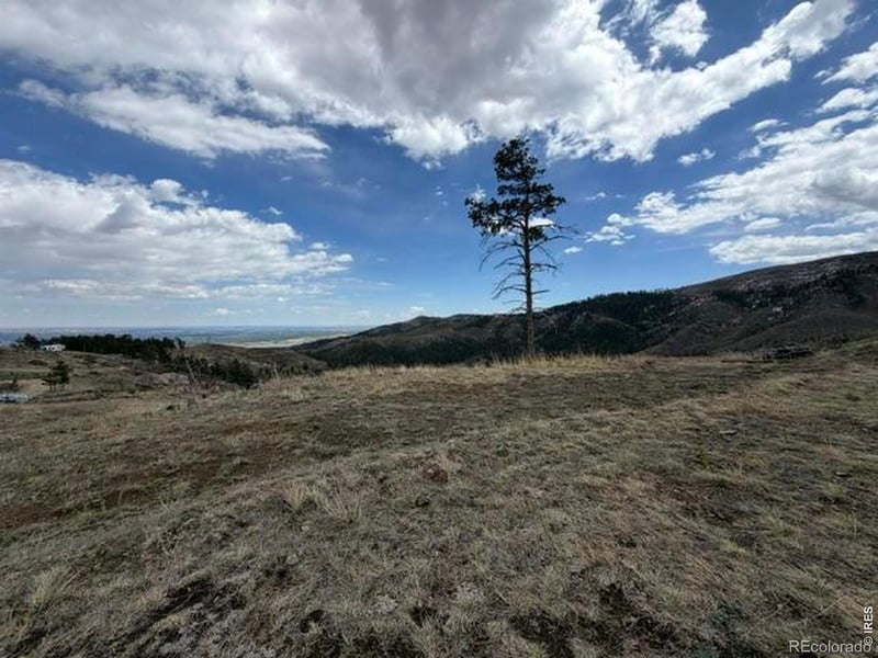 711 Saddle Ridge Rd, Bellvue, CO 80512
